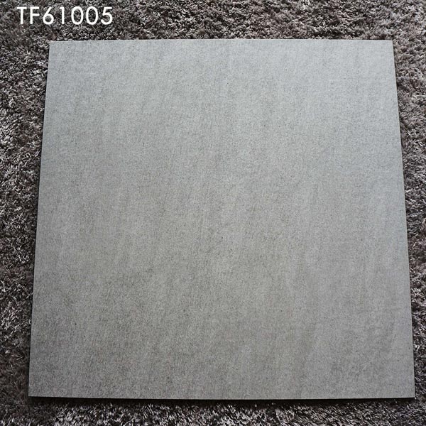 TF61005